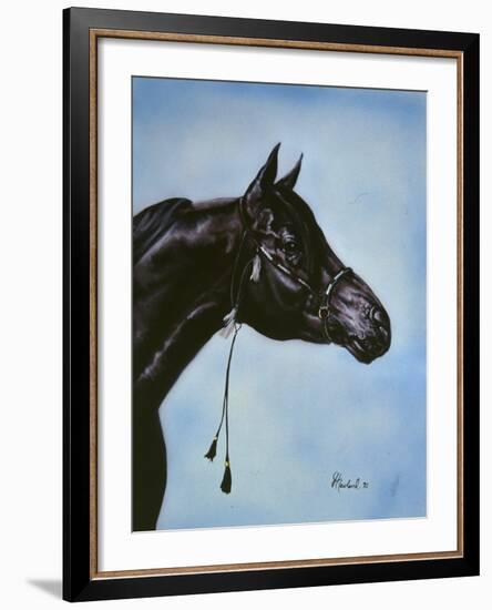 Black Arabian-Jenny Newland-Framed Giclee Print