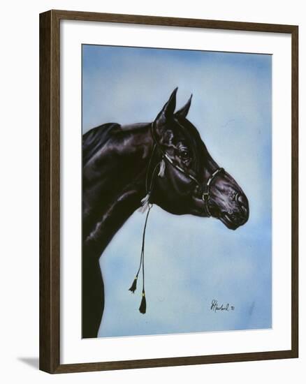 Black Arabian-Jenny Newland-Framed Giclee Print