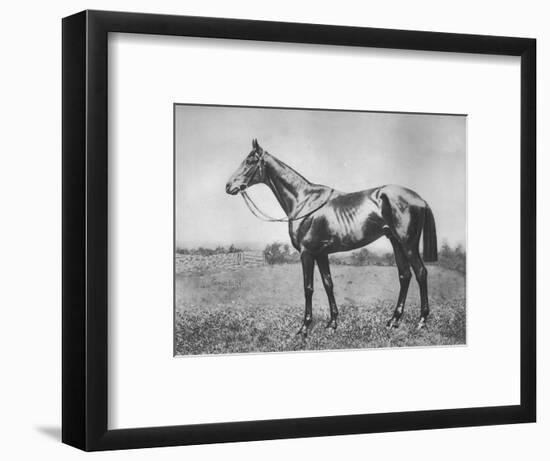 'Black Arrow', 1911-Unknown-Framed Giclee Print