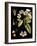 Black Background Floral Studies I-Vision Studio-Framed Art Print