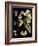 Black Background Floral Studies I-Vision Studio-Framed Art Print