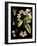 Black Background Floral Studies I-Vision Studio-Framed Art Print