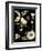 Black Background Floral Studies III-Vision Studio-Framed Art Print