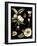 Black Background Floral Studies III-Vision Studio-Framed Art Print
