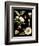 Black Background Floral Studies III-Vision Studio-Framed Premium Giclee Print