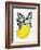 Black Bananas-Cat Coquillette-Framed Giclee Print