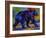 Black Bear 3-Marion Rose-Framed Giclee Print