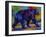 Black Bear 3-Marion Rose-Framed Giclee Print