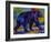 Black Bear 3-Marion Rose-Framed Giclee Print