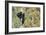 Black Bear Cubs in Tree-Donald Paulson-Framed Giclee Print