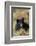 Black Bear, Early Autumn-Ken Archer-Framed Photographic Print