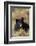 Black Bear, Early Autumn-Ken Archer-Framed Photographic Print