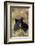 Black Bear, Early Autumn-Ken Archer-Framed Photographic Print