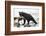 Black Bear Fishing-MaryAnn McDonald-Framed Photographic Print