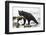 Black Bear Fishing-MaryAnn McDonald-Framed Photographic Print