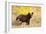 Black Bear, Glacier National Park-Jason Savage-Framed Giclee Print