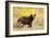 Black Bear, Glacier National Park-Jason Savage-Framed Giclee Print