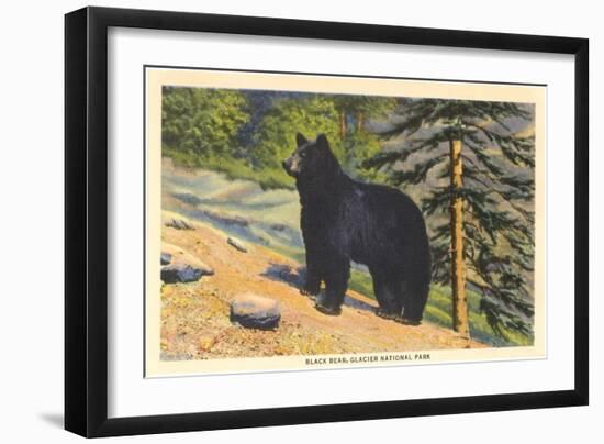 Black Bear, Glacier Park, Montana-null-Framed Art Print