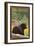 Black Bear in Forest - Colorado-Lantern Press-Framed Art Print