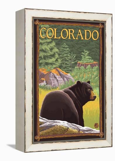 Black Bear in Forest - Colorado-Lantern Press-Framed Stretched Canvas