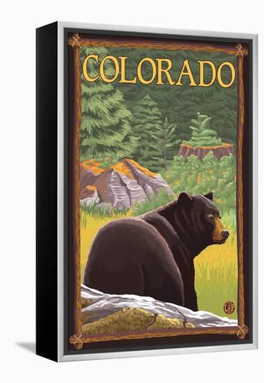 Black Bear in Forest - Colorado-Lantern Press-Framed Stretched Canvas