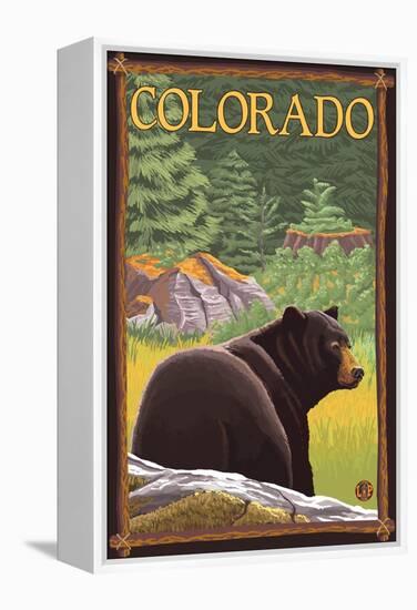 Black Bear in Forest - Colorado-Lantern Press-Framed Stretched Canvas