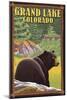 Black Bear in Forest - Grand Lake, Colorado-Lantern Press-Mounted Art Print