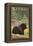 Black Bear in Forest, Katmai, Alaska-Lantern Press-Framed Stretched Canvas