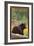 Black Bear in Forest - New Mexico-Lantern Press-Framed Art Print