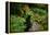 Black Bear in the Bushes-W. Perry Conway-Framed Premier Image Canvas