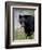 Black Bear (Ursus Americanus), Banff National Park, Alberta, Canada, North America-James Hager-Framed Photographic Print