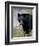 Black Bear (Ursus Americanus), Banff National Park, Alberta, Canada, North America-James Hager-Framed Photographic Print