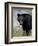 Black Bear (Ursus Americanus), Banff National Park, Alberta, Canada, North America-James Hager-Framed Photographic Print