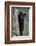 Black Bear (Ursus Americanus) Cub of the Year or Spring Cub Climbing a Tree-James Hager-Framed Photographic Print