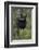 Black Bear (Ursus Americanus) Cub of the Year or Spring Cub in a Tree, Yellowstone National Park-James Hager-Framed Photographic Print