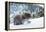 Black Bear (Ursus Americanus), Montana, United States of America, North America-Janette Hil-Framed Premier Image Canvas