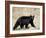 Black Bear (Ursus Americanus), Outside Glacier National Park, Montana-James Hager-Framed Photographic Print