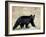 Black Bear (Ursus Americanus), Outside Glacier National Park, Montana-James Hager-Framed Photographic Print