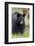 Black Bear (Ursus Americanus), Yellowstone National Park, Wyoming, United States of America-James Hager-Framed Photographic Print