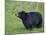 Black Bear (Ursus Americanus), Yellowstone National Park, Wyoming, United States of America-James Hager-Mounted Photographic Print