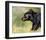 Black Bear Walking-Sarah Stribbling-Framed Giclee Print