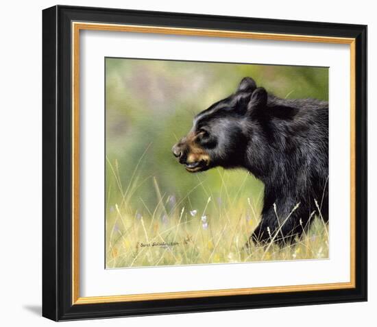 Black Bear Walking-Sarah Stribbling-Framed Giclee Print