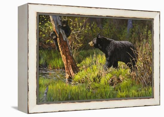 Black Bear-Bruce Miller-Framed Premier Image Canvas