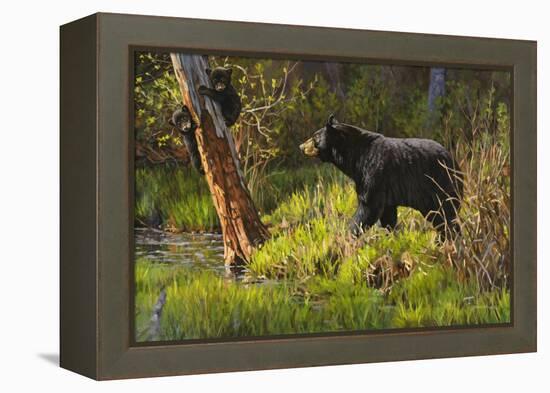 Black Bear-Bruce Miller-Framed Premier Image Canvas