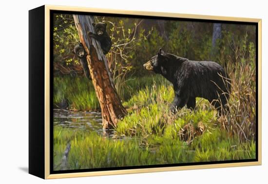 Black Bear-Bruce Miller-Framed Premier Image Canvas