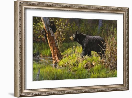 Black Bear-Bruce Miller-Framed Giclee Print