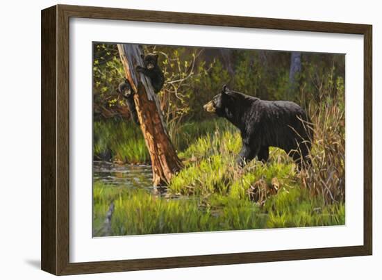 Black Bear-Bruce Miller-Framed Giclee Print