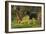 Black Bear-Bruce Miller-Framed Giclee Print