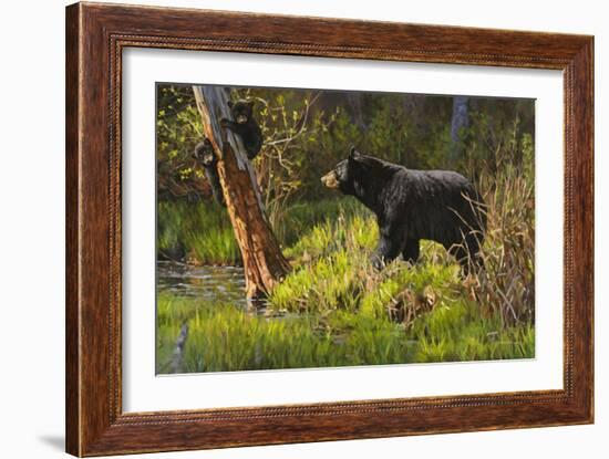 Black Bear-Bruce Miller-Framed Giclee Print