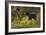 Black Bear-Bruce Miller-Framed Giclee Print